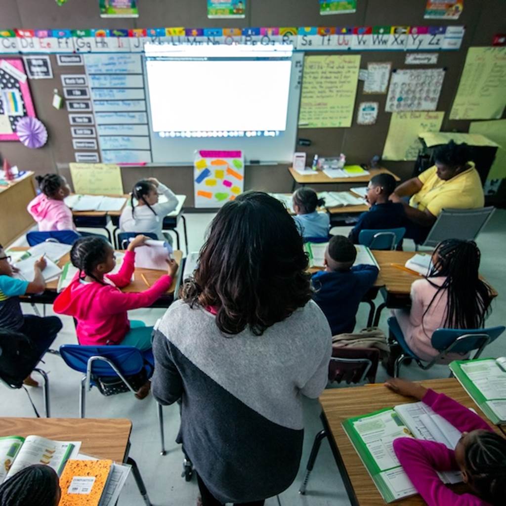 Daffodil Buds School